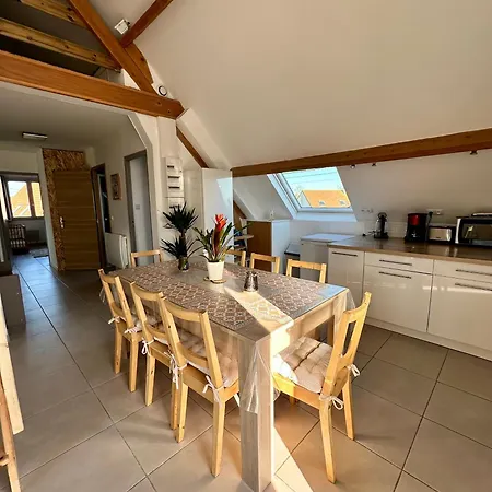 Anemone Audresselles