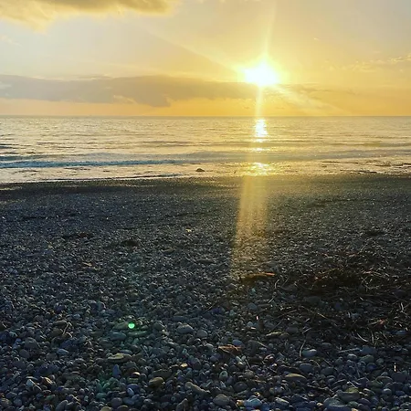 Anemone Audresselles