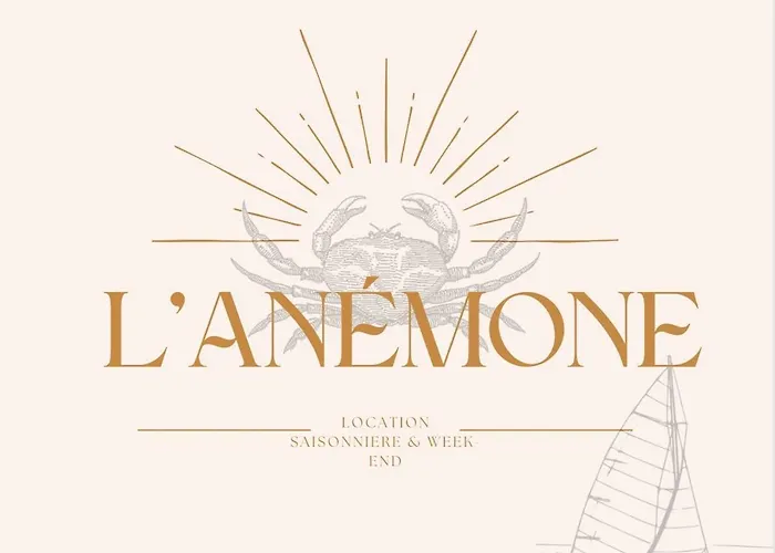 Anemone * Audresselles